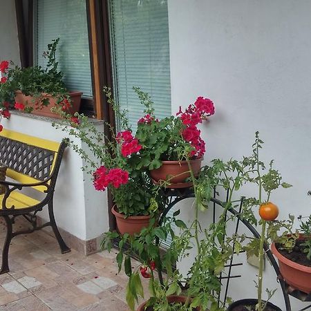 Darja Guesthouse Dob المظهر الخارجي الصورة