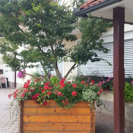 Darja Guesthouse Dob المظهر الخارجي الصورة
