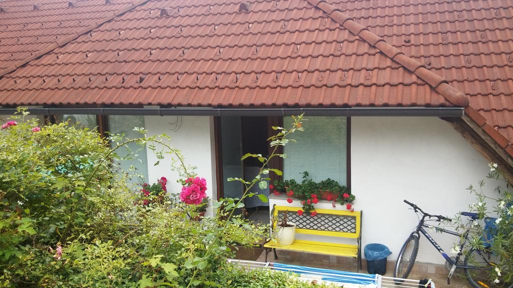 Darja Guesthouse Dob المظهر الخارجي الصورة