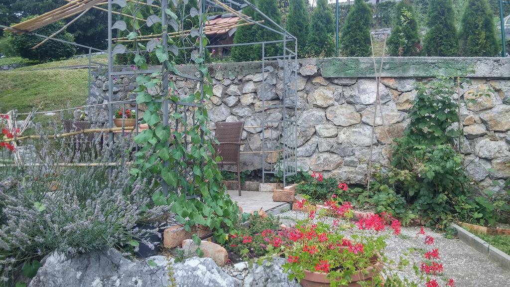 Darja Guesthouse Dob المظهر الخارجي الصورة